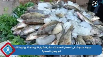 هبوط ملحوظ في أسعار الأسماك بكفر الشيخ الأربعاء 30 يوليو 2025… كم وصل السعر؟
